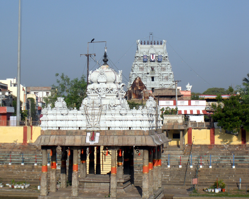 Thiruvallikeni Parthasarathi Temple