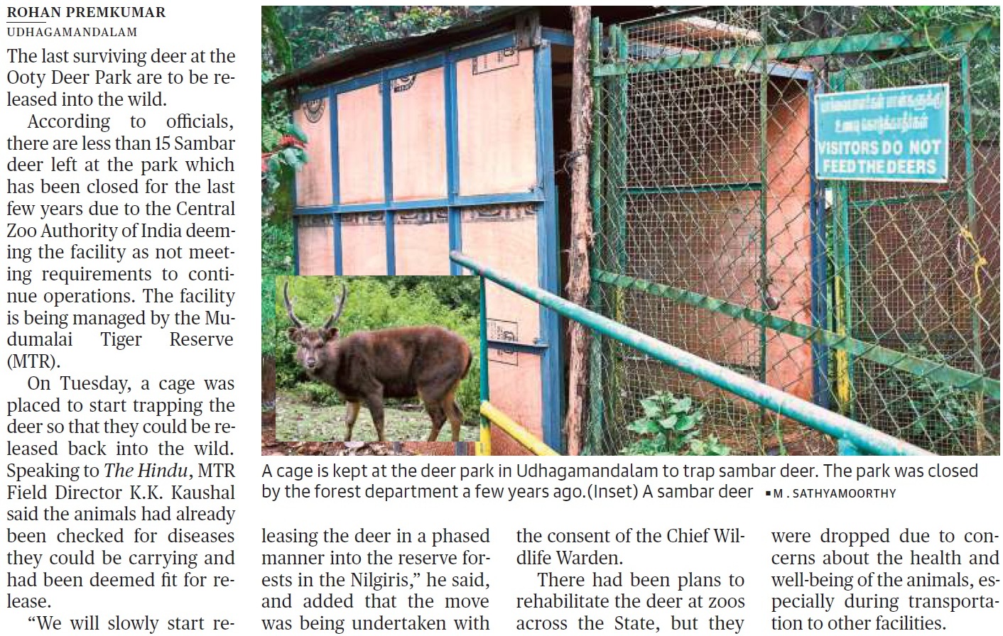 Sambar deer at Ooty park to be let into the wild