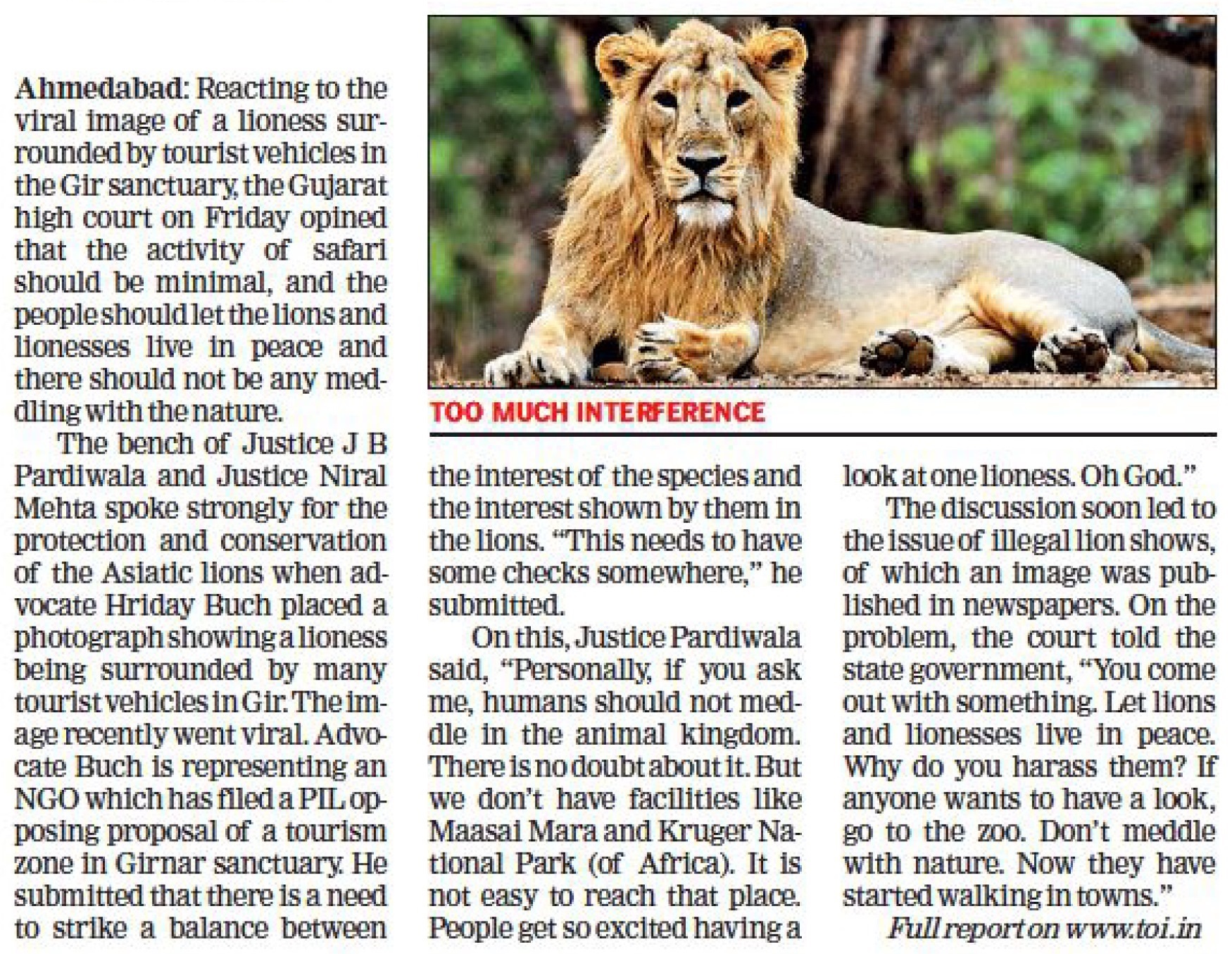HC: Let lions live in peace, don't interfere with animal kingdom