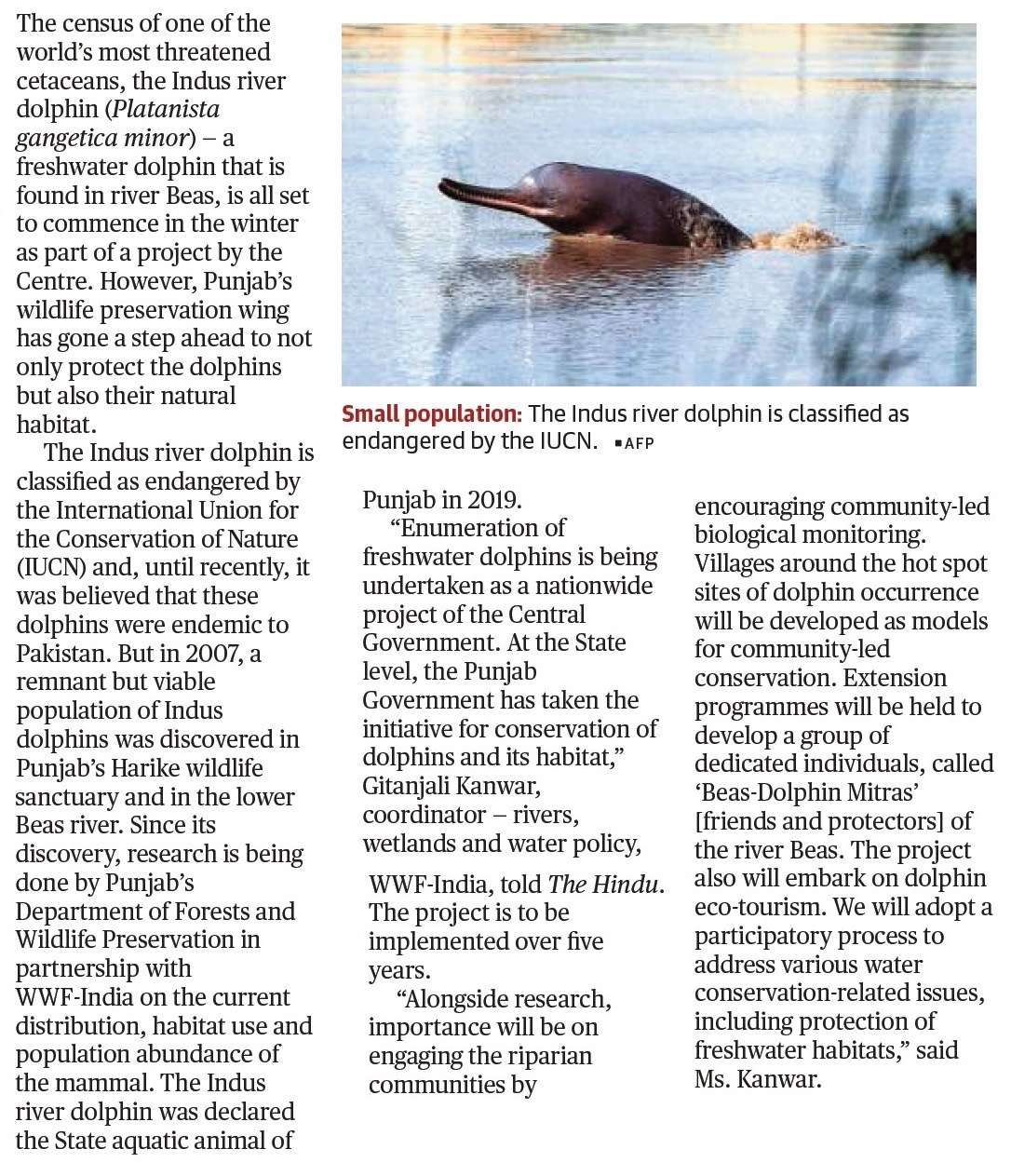 Punjab does a deep dive for Indus dolphins