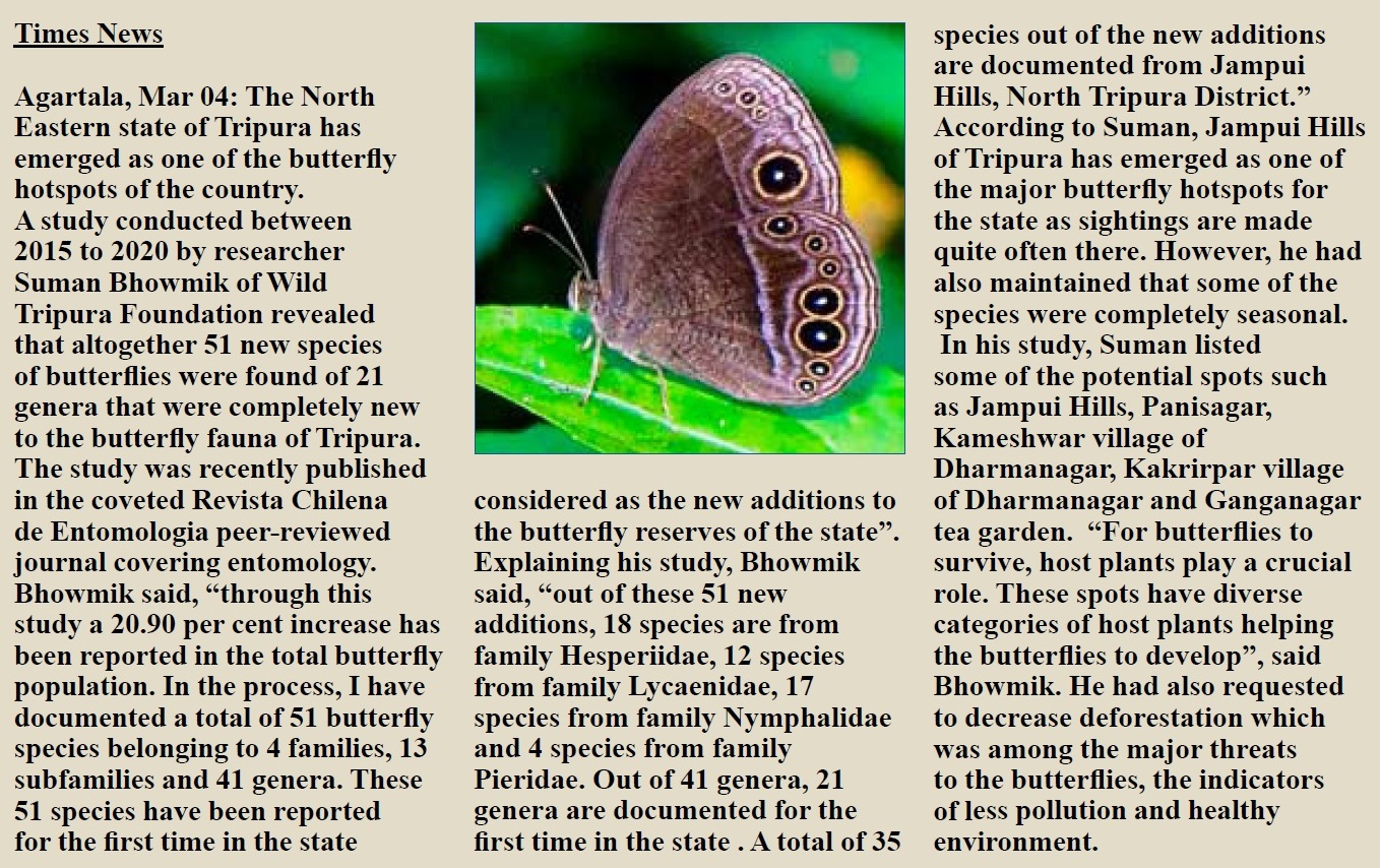 Tripura reports 51 new Butterfly species