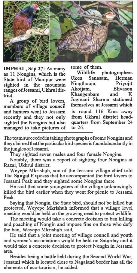 State bird Nongin sighted at Jessami